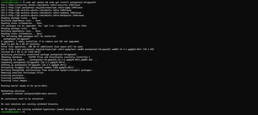 Screenshot of a terminal showing the successful installation of the pgAudit extension for PostgreSQL on an Ubuntu system using the 'sudo apt install postgresql-16-pgaudit' command.